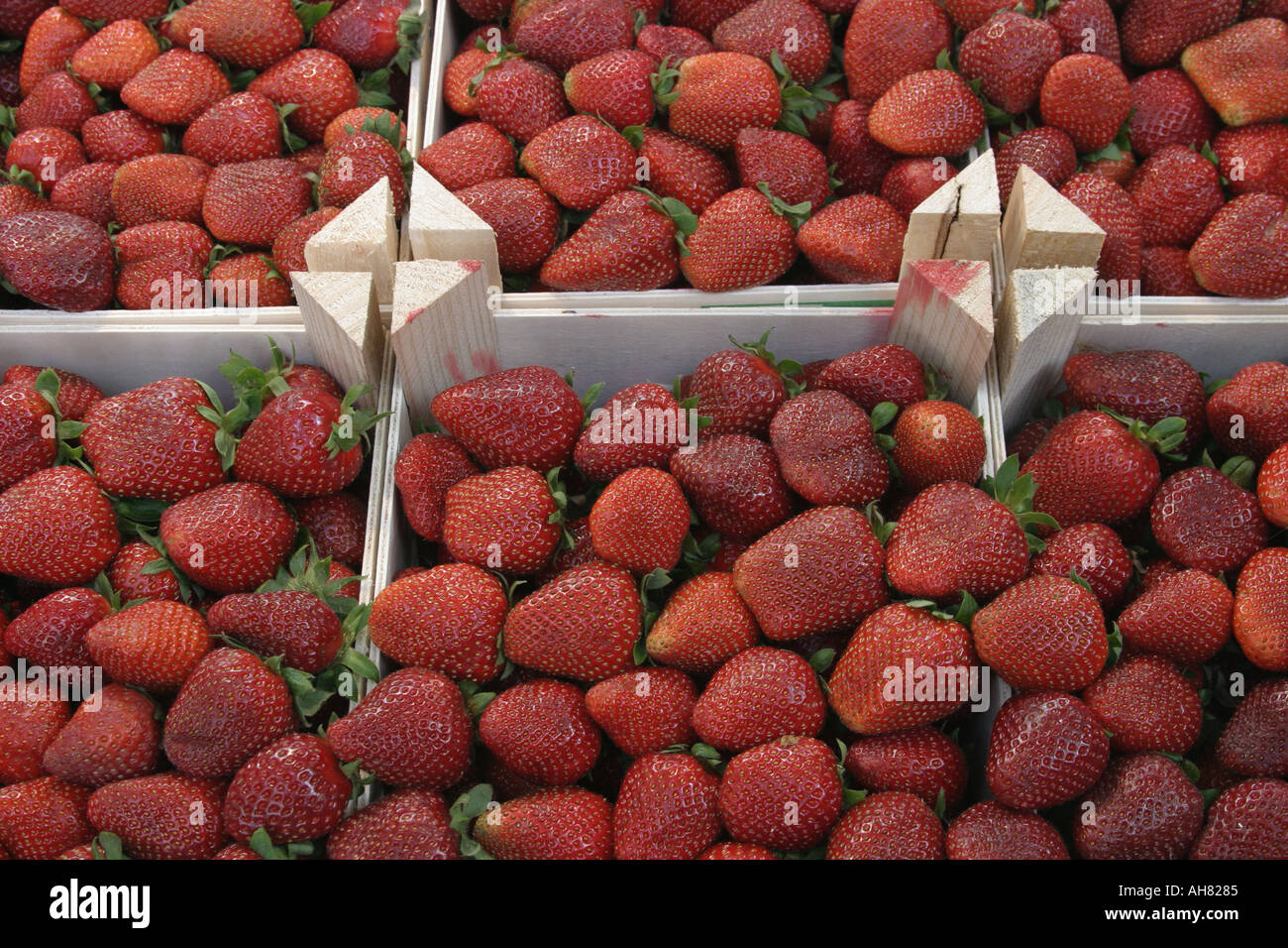 Strawberries hi-res stock photography and images - Alamy