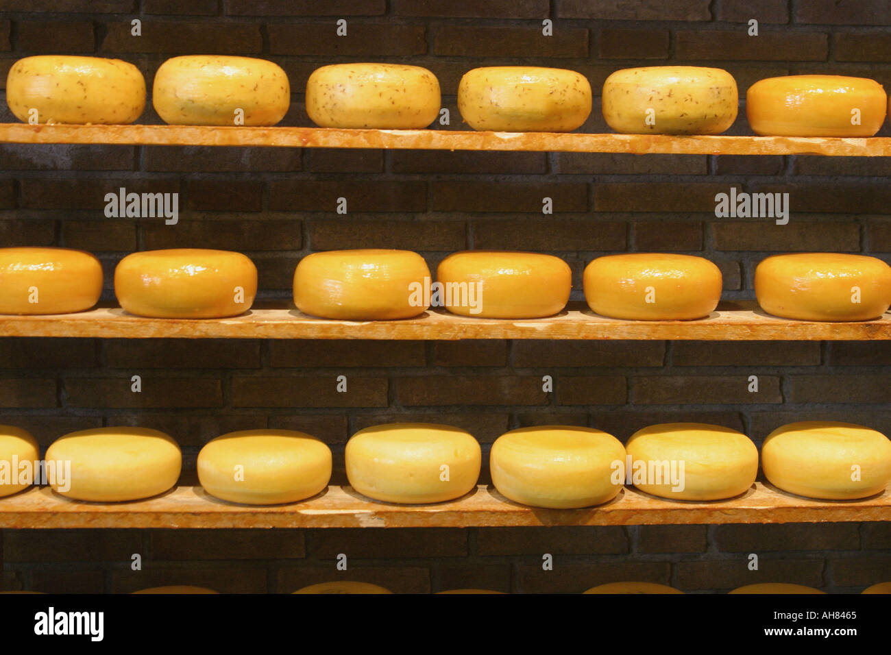 Holland Cheeses Stock Photo