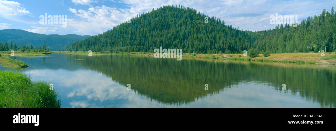 Pyramid of Pines Smith Ferry Idaho Stock Photo Alamy