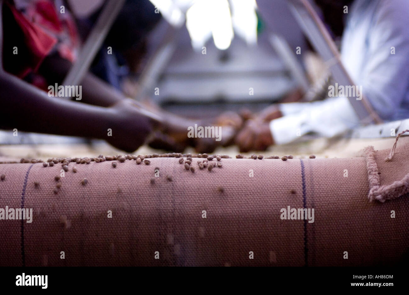 Coffee Factory Africa High Resolution Stock Photography and Images Alamy