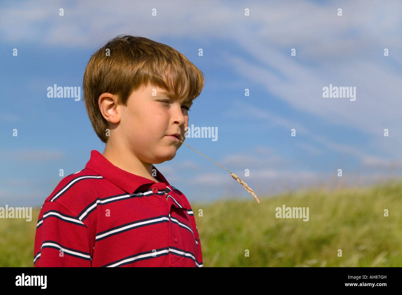 Young boy chewing straw outdoors on a summer day Stock Photo