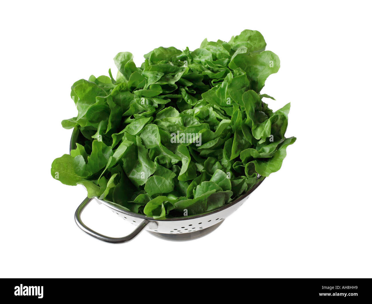 Curled lettuce in silver colander on white background Stock Photo