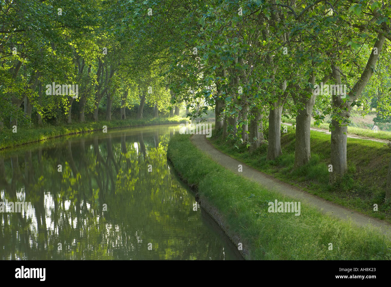 The tow path on the Canal du Midi near Carcassonne Languedoc France Stock Photo