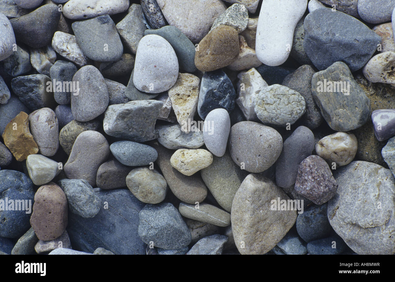 Closeup of small stones on beach Stock Photo