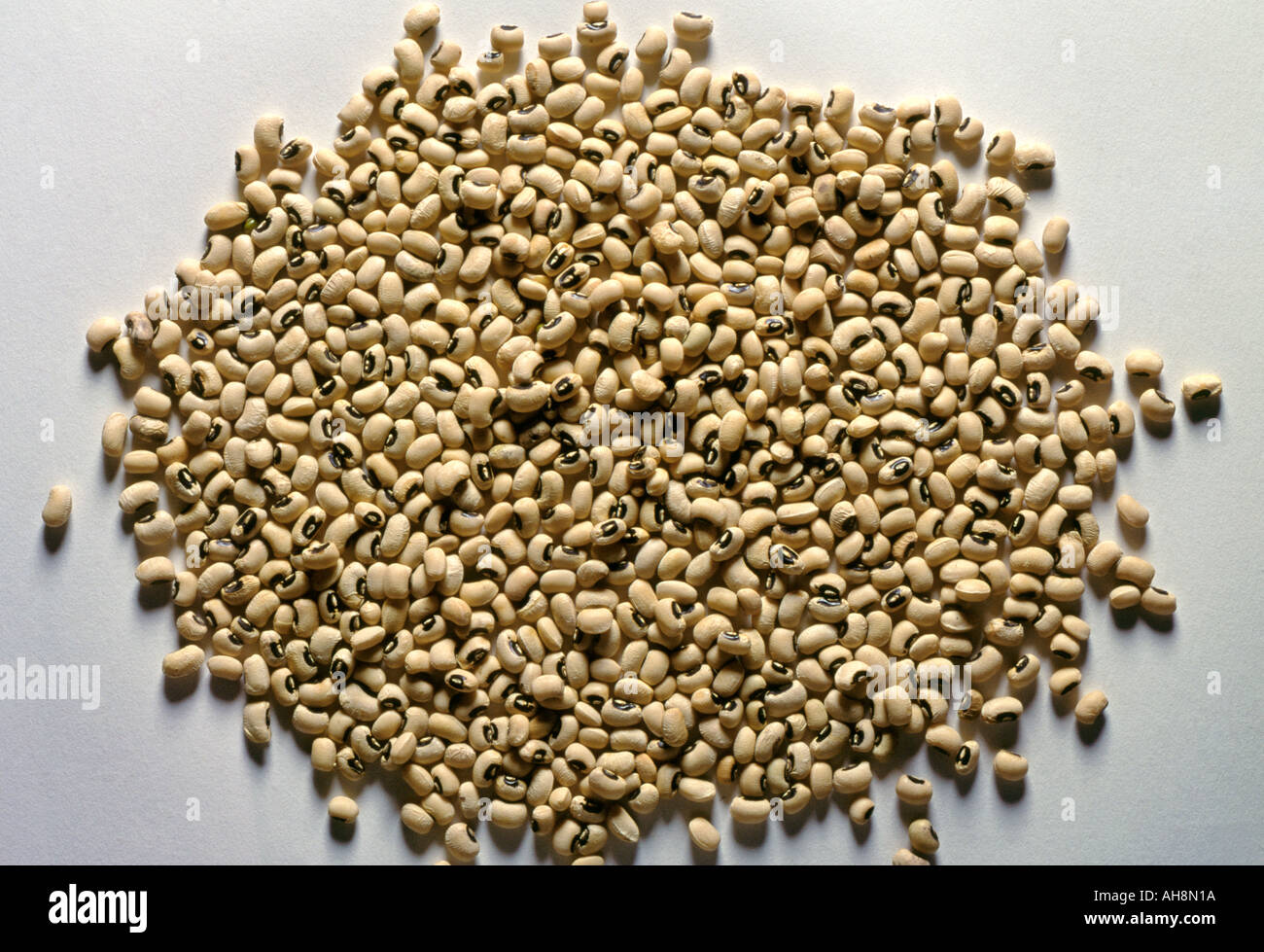 AAD71518 Food Black Eyed Beans BIG Stock Photo