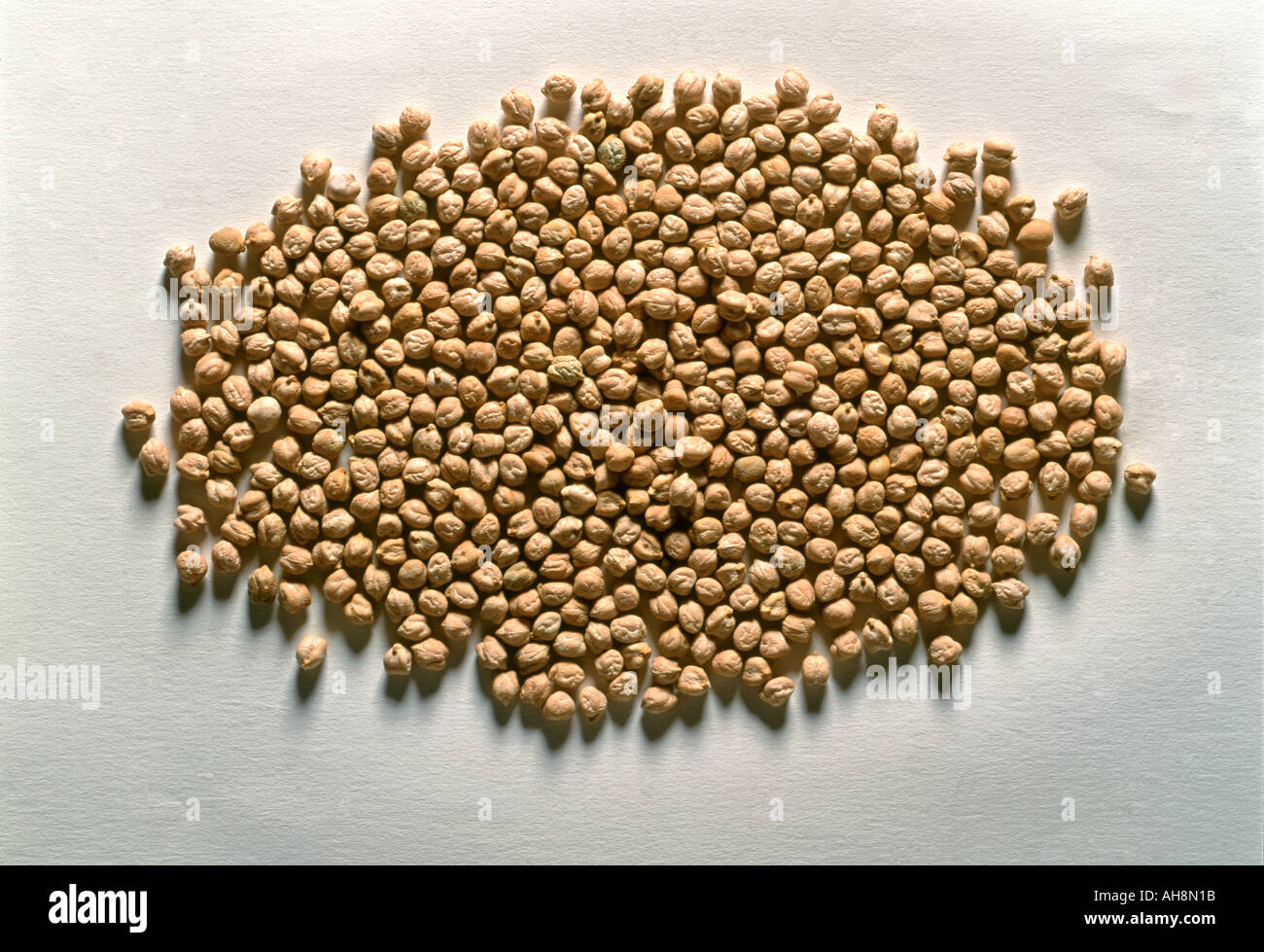 AAD71519 Food White Chickpeas Stock Photo