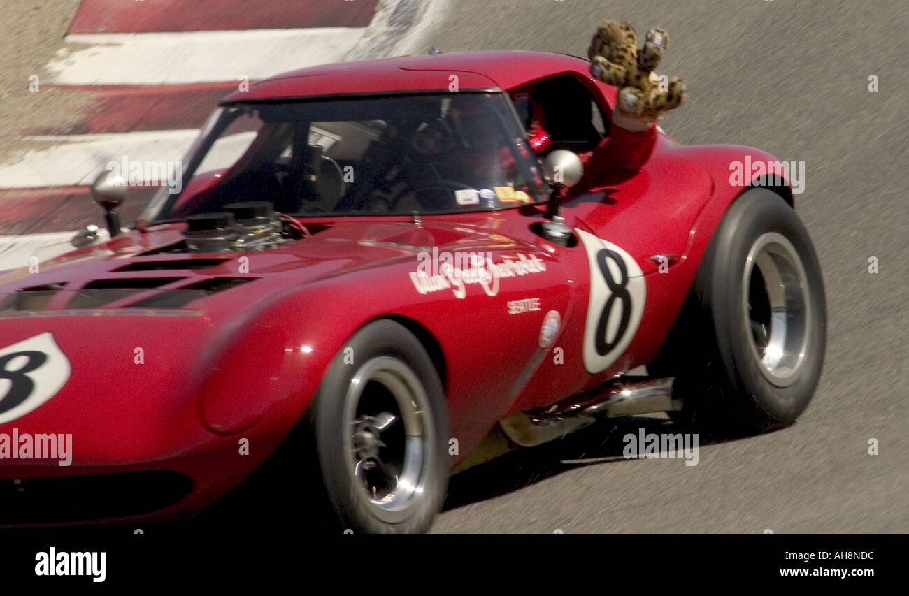 1964 Cheetah Monterey Historic Automobile Races Stock Photo - Alamy, image size:1300x853