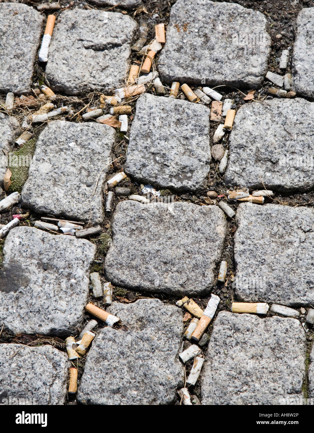 Cigarette butts thrown between traditional paving stones Frantiskovy Lazne spa town Czech republic Stock Photo