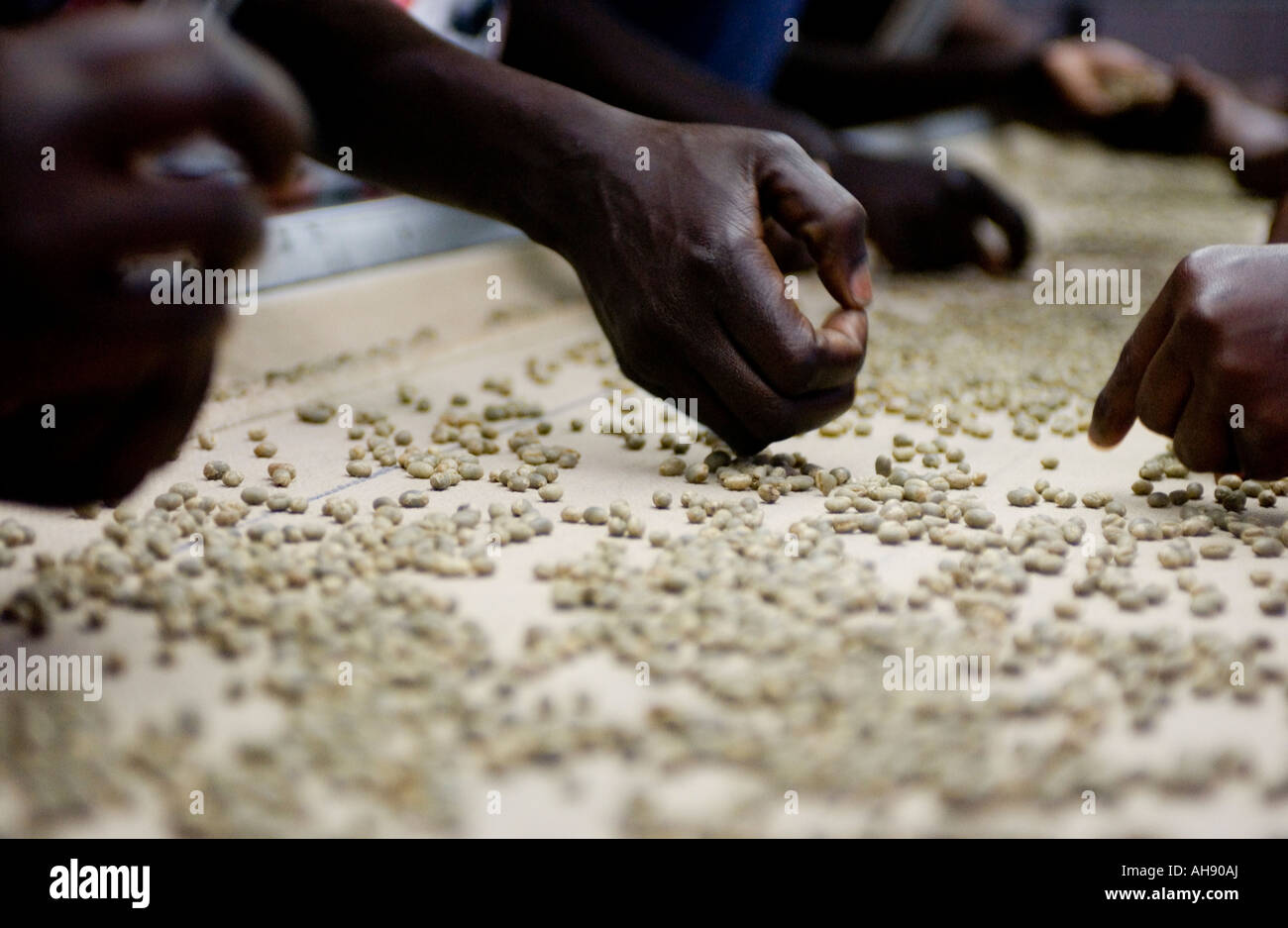 Coffee Factory Africa High Resolution Stock Photography and Images Alamy