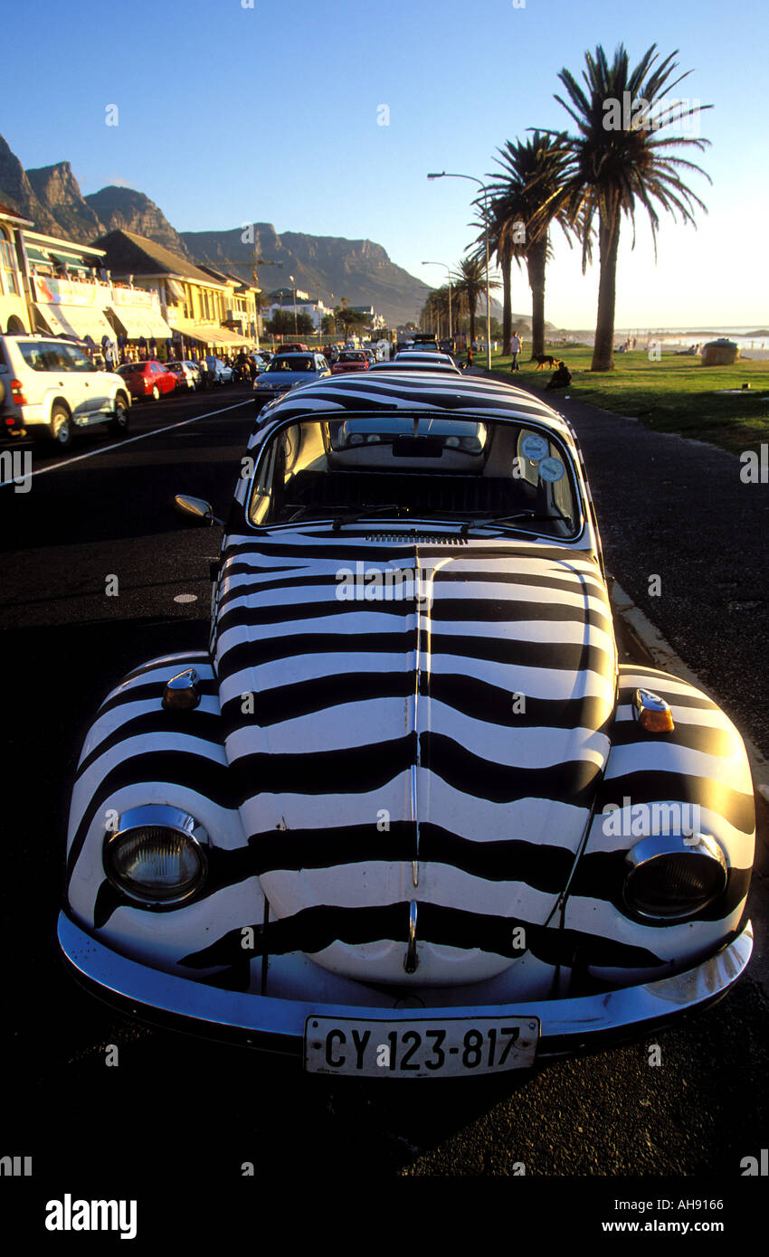 South Africa Cape Town Beetle car painted as a Zebra at Camps Bay Stock