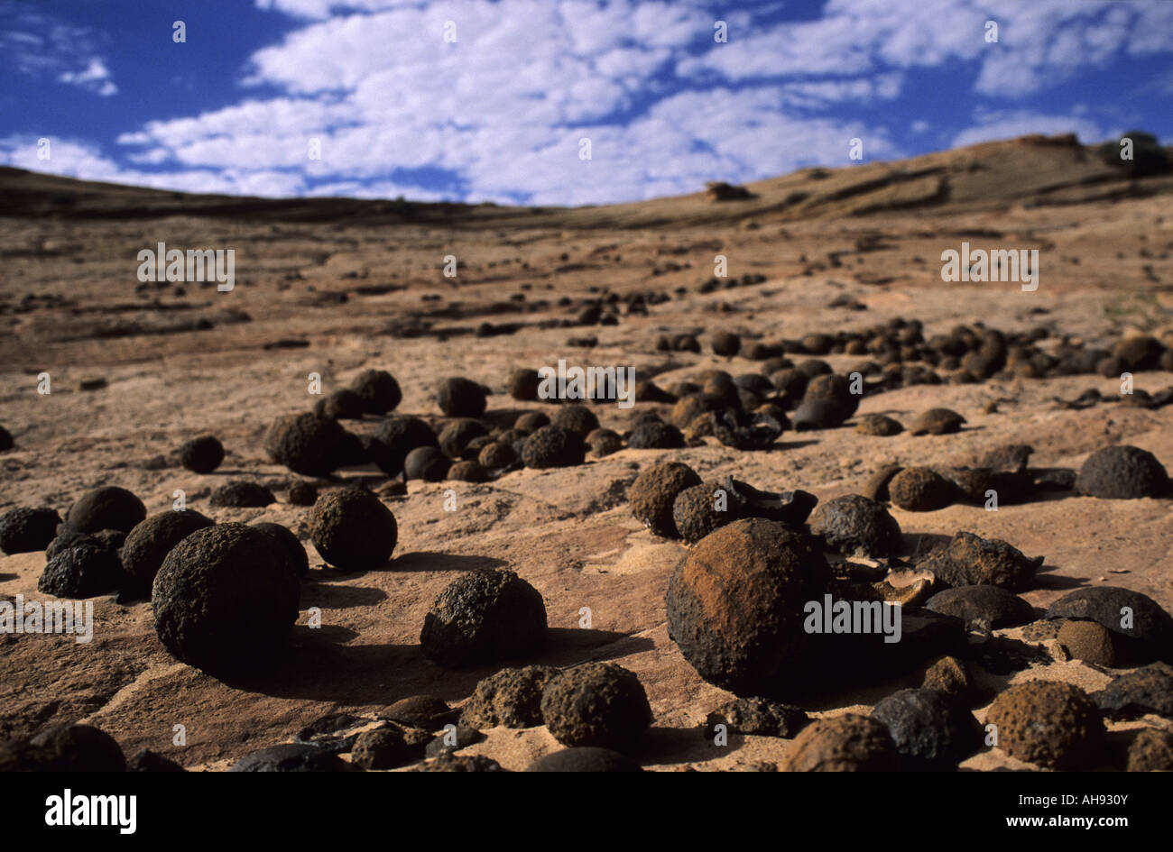 Moqui Marbles found on Spencer Flats in Utah Stock Photo Alamy