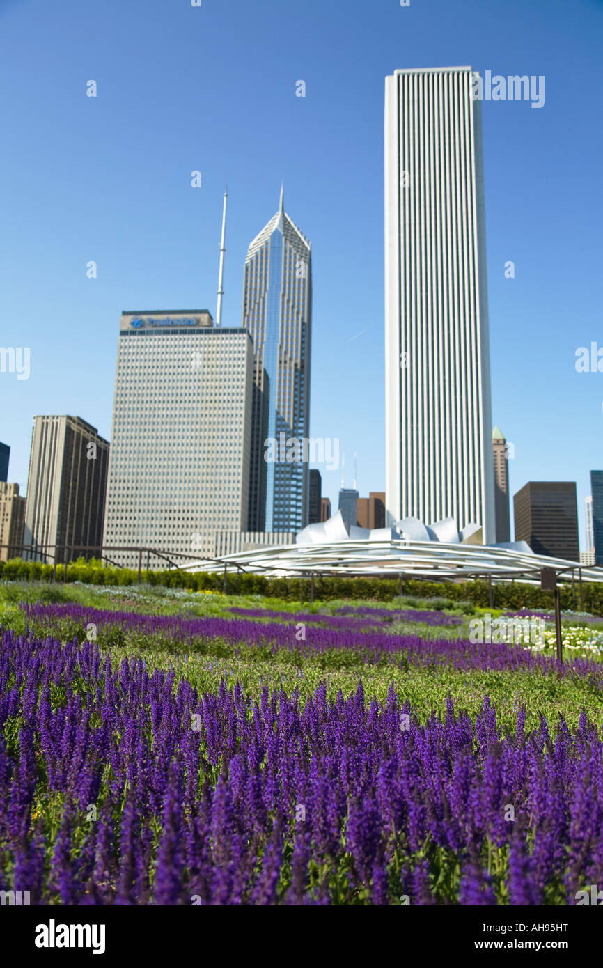 ILLINOIS Chicago Flowers bloom in Lurie Garden part of Millennium Park