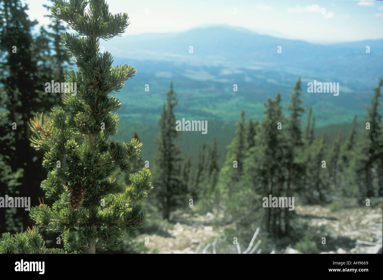 Mountain mountains climbing hi-res stock photography and images - Alamy
