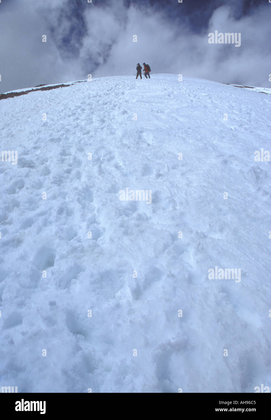 Snowy mountain top summit in Colorado USA Quandry Peak Stock Photo