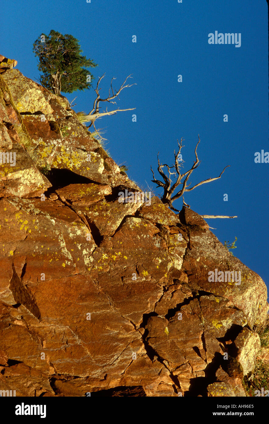 Cliff and tree hi-res stock photography and images - Alamy