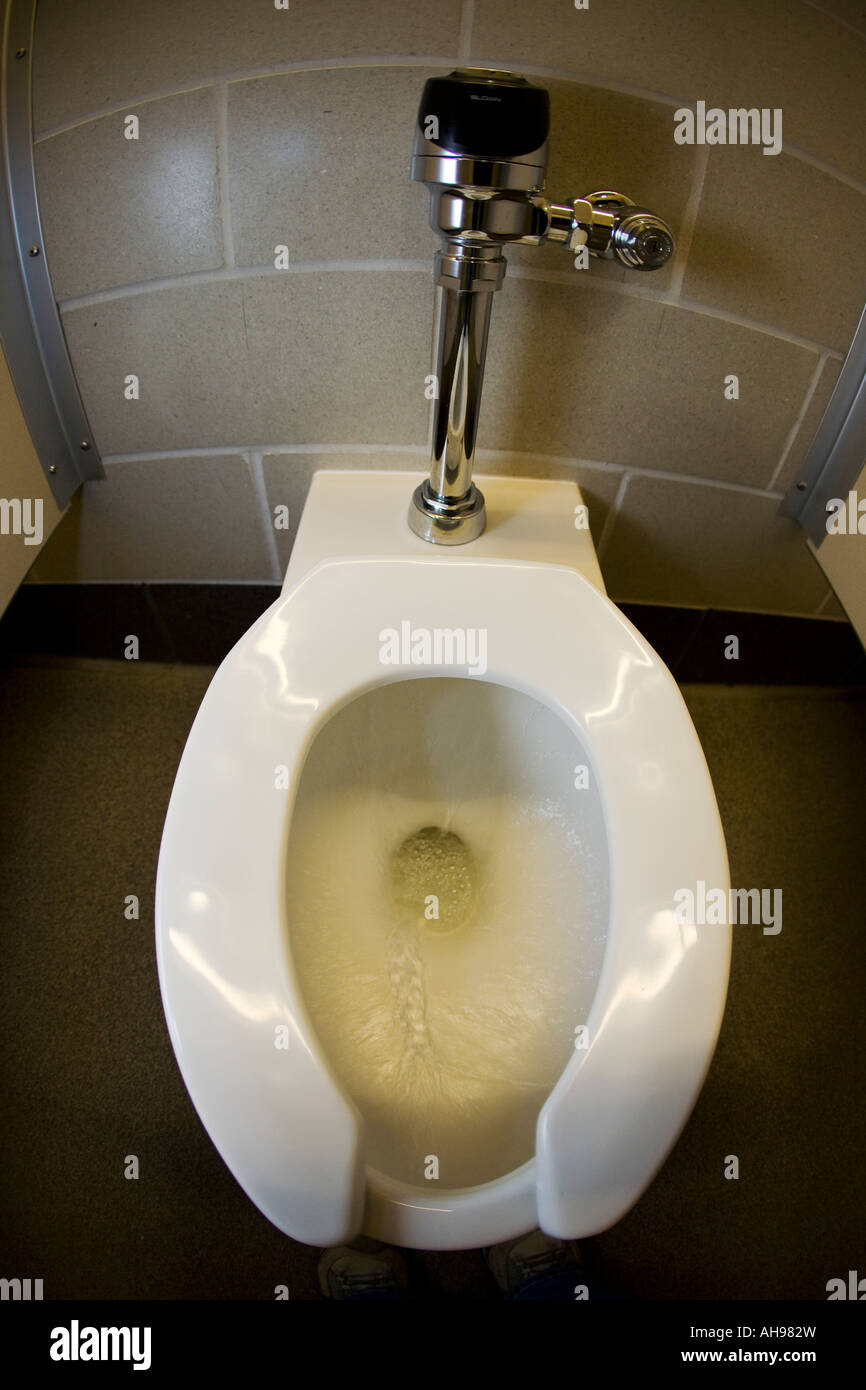 ILLINOIS Chicago Womens restroom facility white toilet stool flushing ...