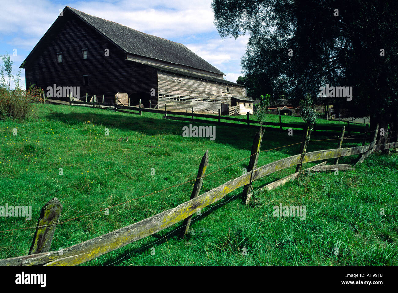 Lush green grass and a weathered wood barn and fence in Frutillar Chile ...