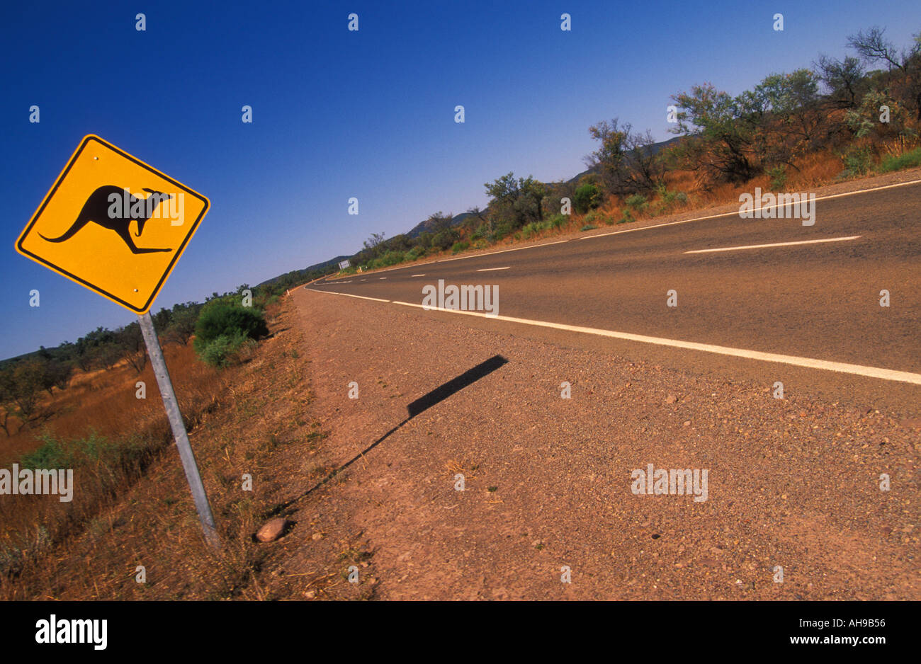 South Australia Flinders range Kangaroo warning sign on an empty outback road in the Flinders range national park  South Australia Stock Photo