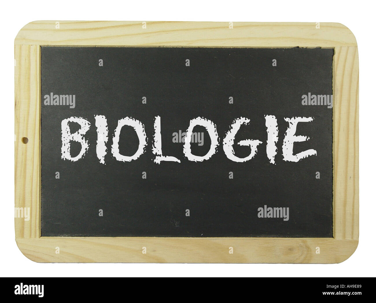 Chalk board with the label biology Symbol for school learning and