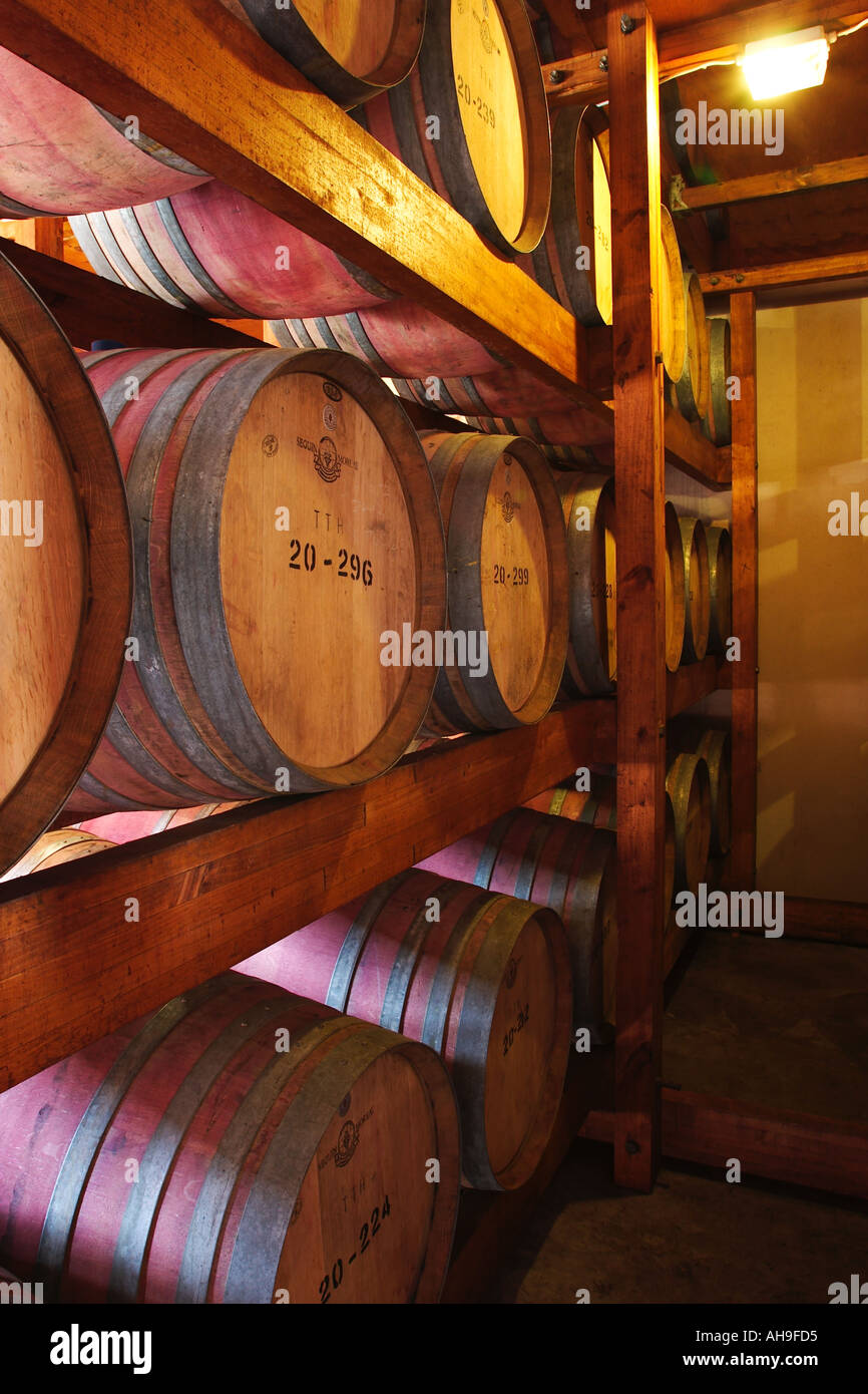 Stored Depot of big wine barrels at Blaauwklippen estate South Africa Stock Photo