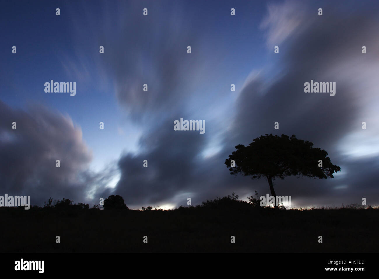 Beautiful clouds formation short time after sunset with silhouette of an typical african tree South Africa Stock Photo