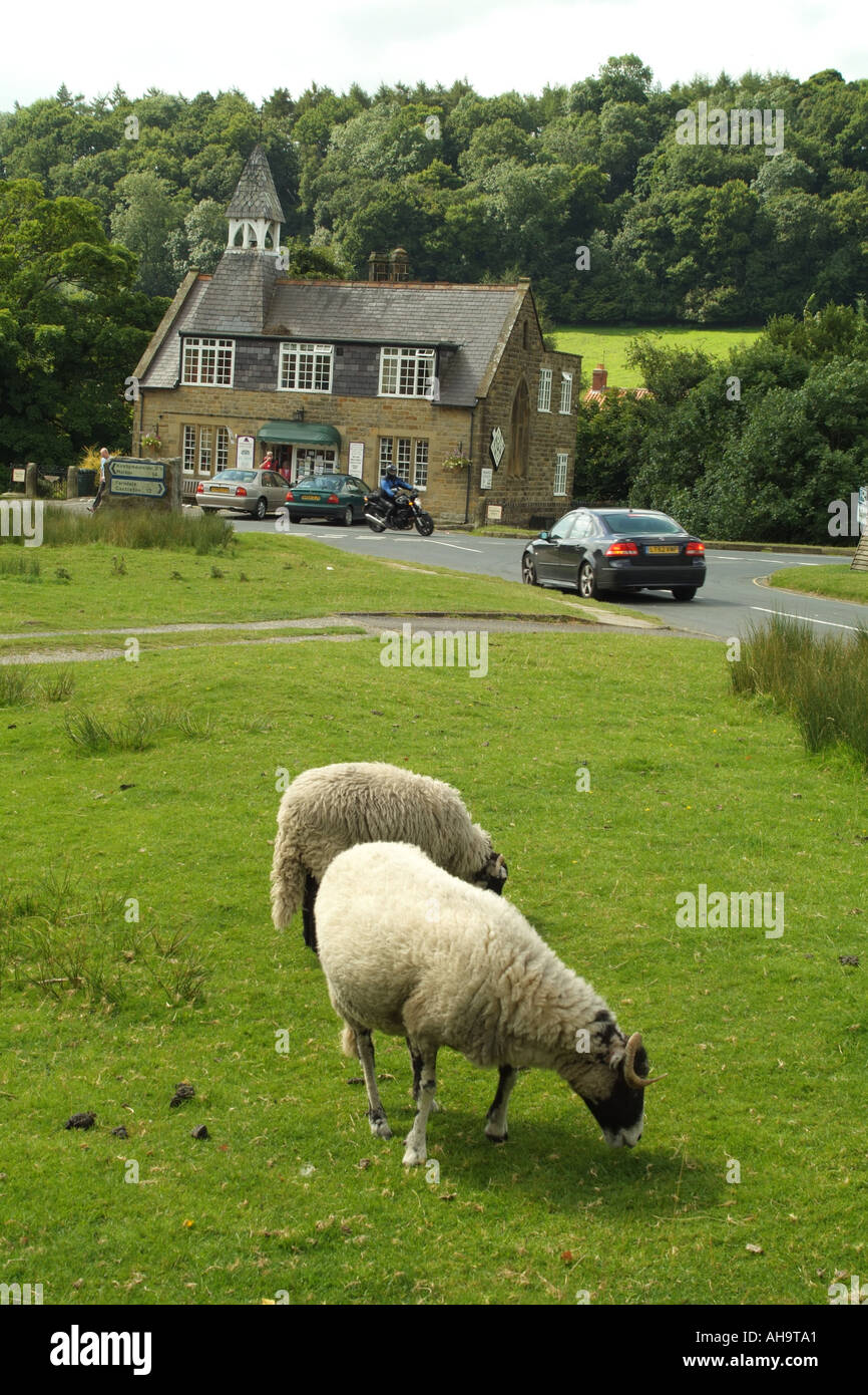 hutton-le-hole-yorkshire-sheep-hi-res-stock-photography-and-images-alamy