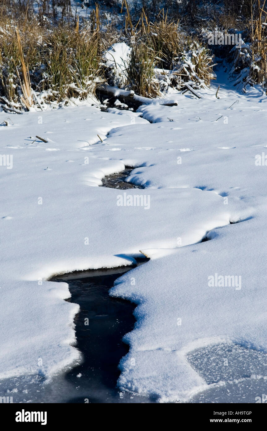 Frozen brook in winter Sumy region Ukraine Stock Photo