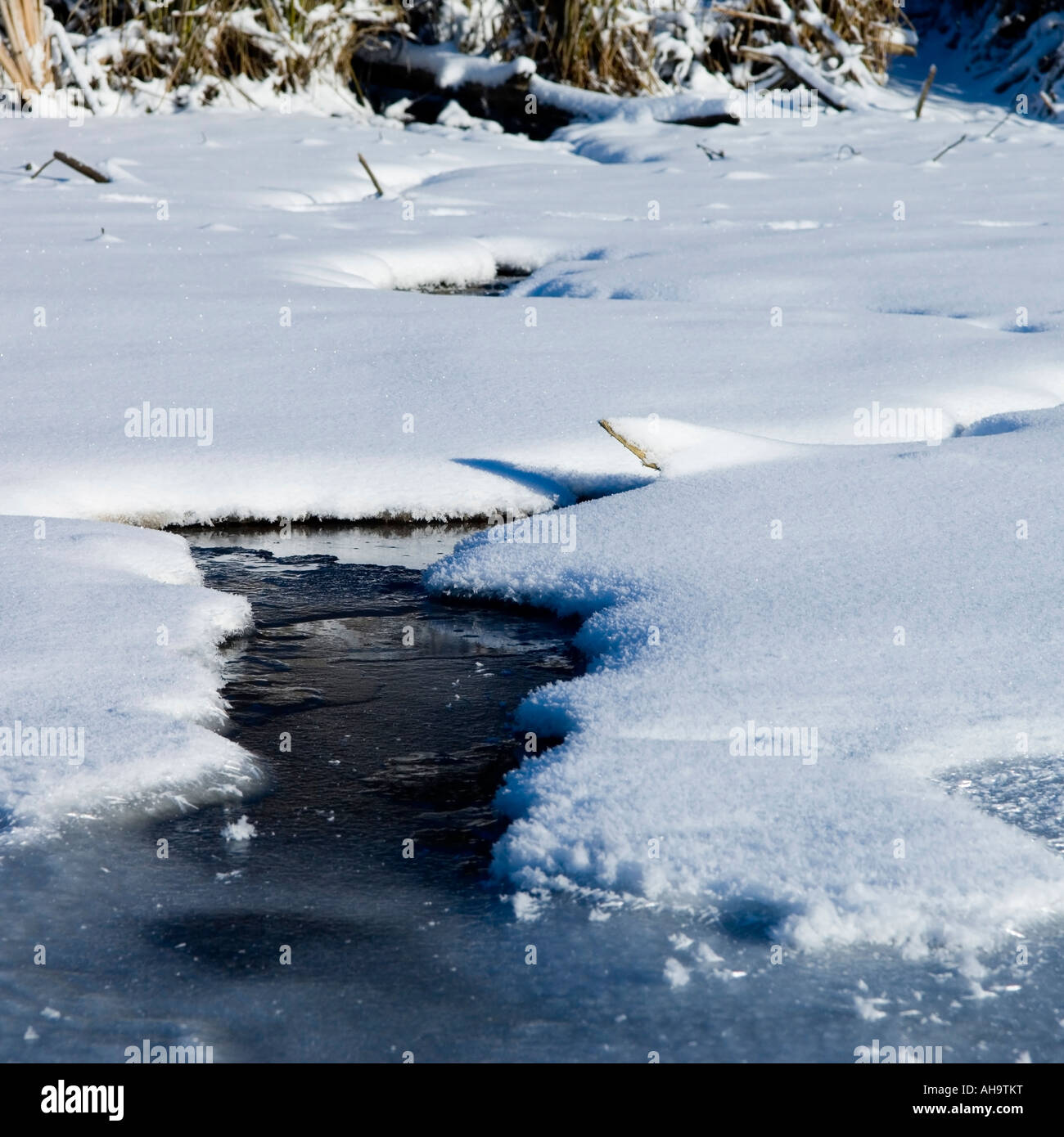 Frozen brook in winter Sumy region Ukraine Stock Photo