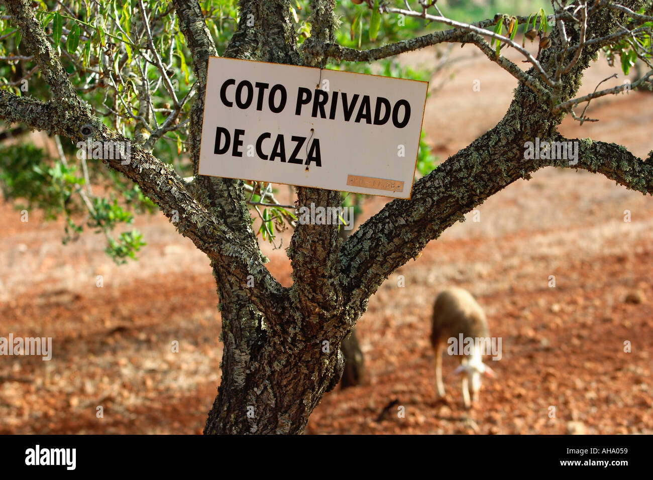 sign Coto privado de caza in Es Pla de Sant Mateu Stock Photo Alamy sign Coto privado de caza in Es Pla de Sant Mateu Stock Photo Alamy