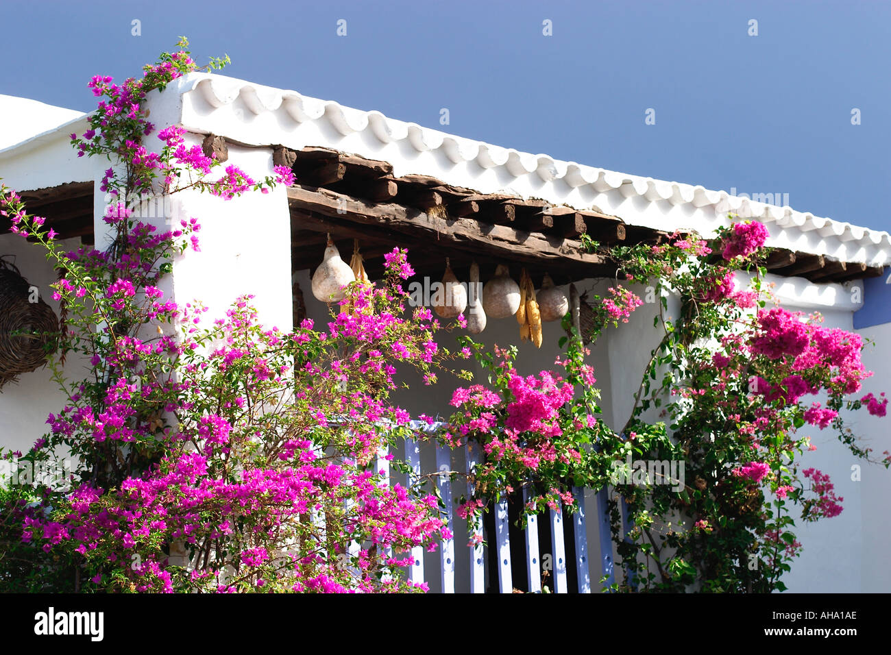 Es Trui de Ca n Andeu typical 17th century house in Sant Carles de Paralta on Ibiza Stock Photo