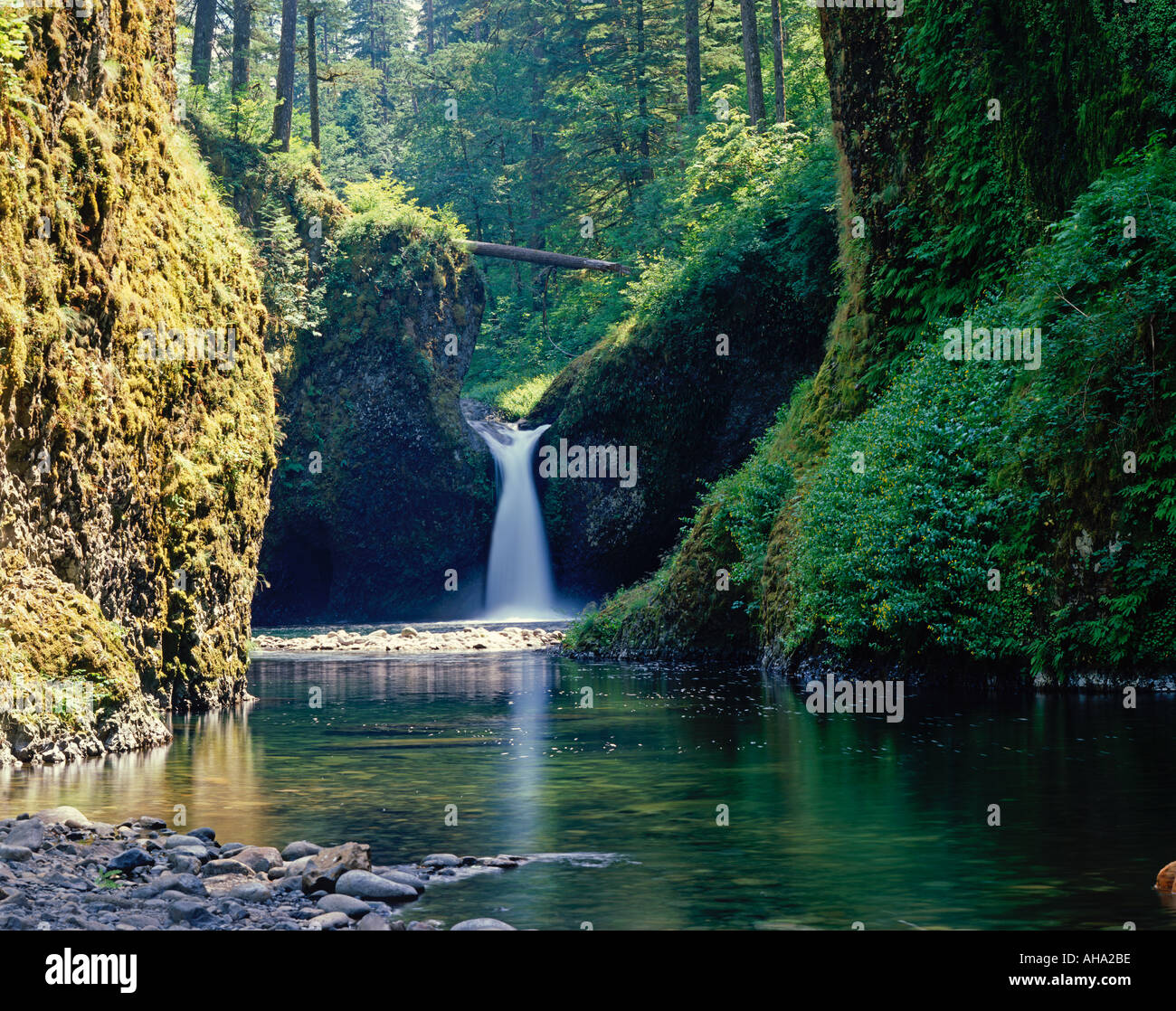 Punch Bowl Falls along the Columbia River near Portland Oregon USA