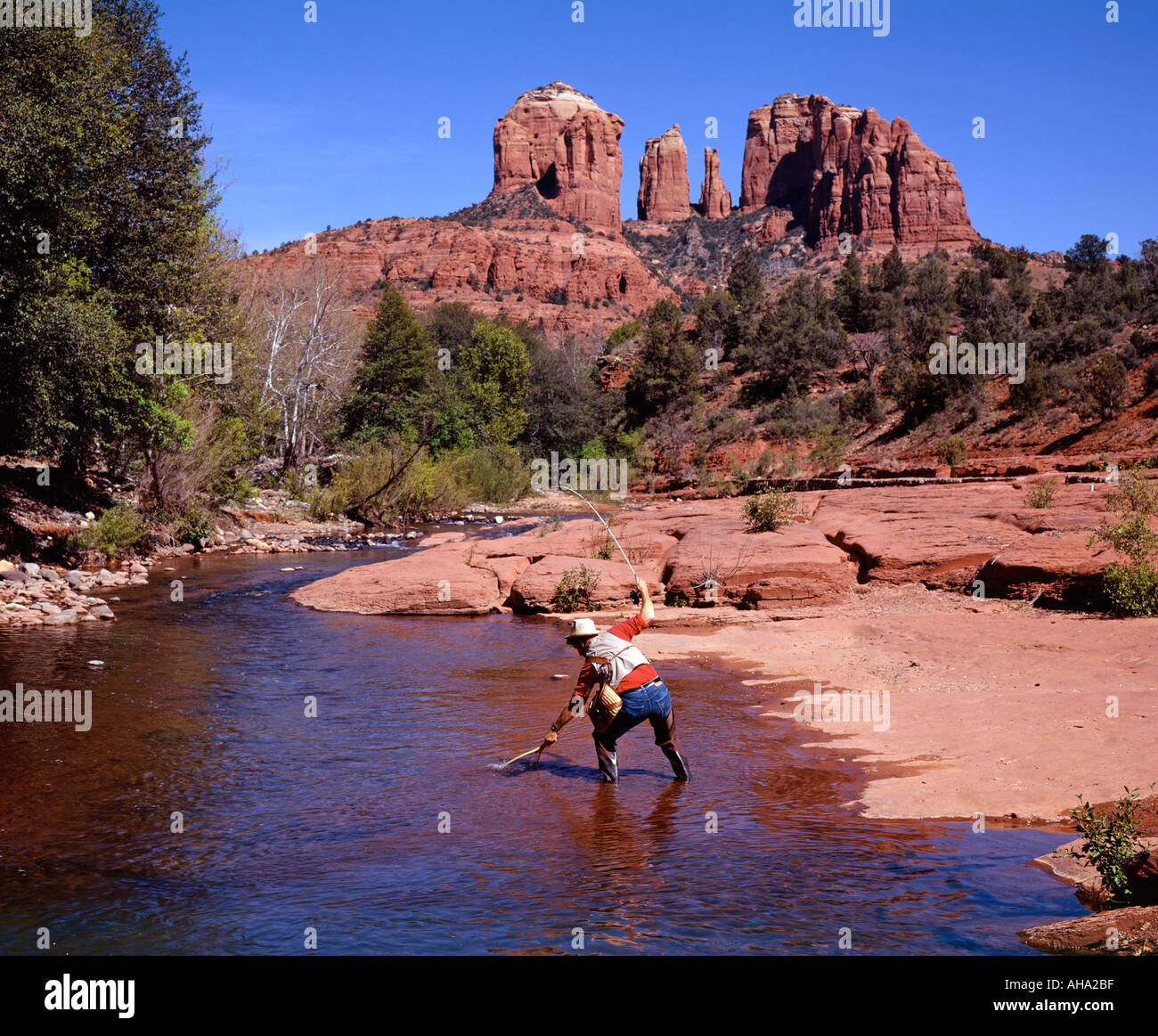 man fishing in stream at Red Rock Crossing Sedona Arizona USA Stock Photo -  Alamy