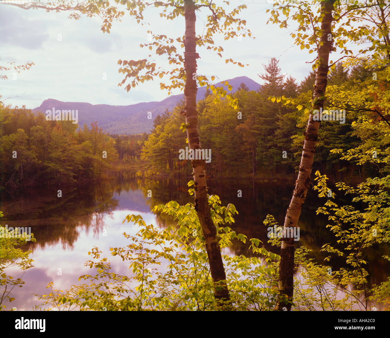 Red eagle hires stock photography and images Alamy