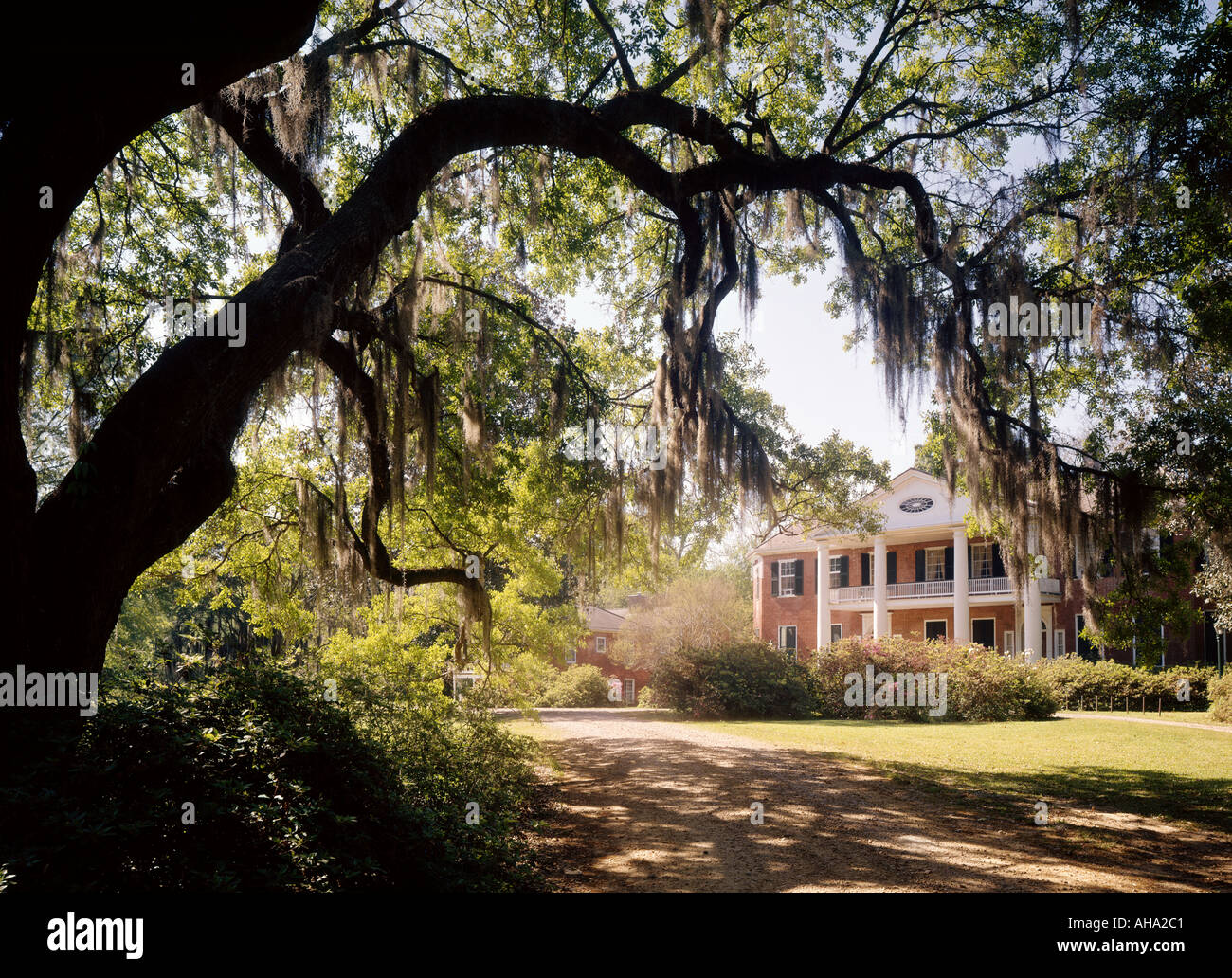 antebellum plantation home at Natchez Mississippi USA Stock Photo Alamy