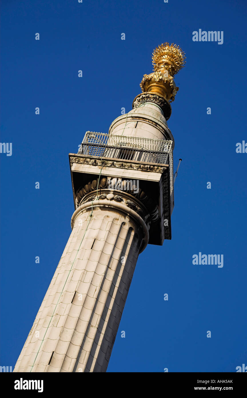 The Monument Pudding Lane City of London Stock Photo Alamy