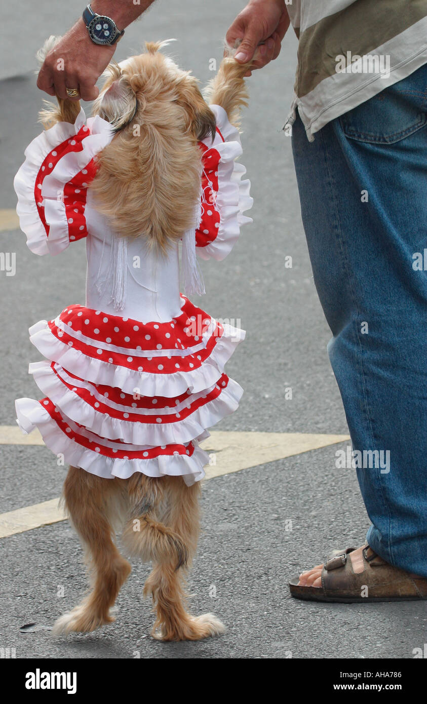 spain-fiesta-stock-photo-alamy