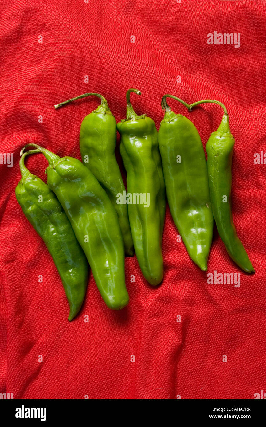 Hatch Green Chile Peppers from Hatch New Mexico USA Stock Photo Alamy