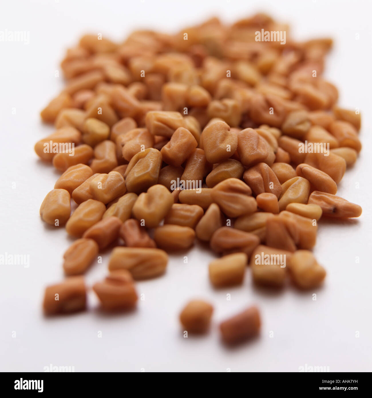 Fenugreek on a white background editorial food Stock Photo - Alamy