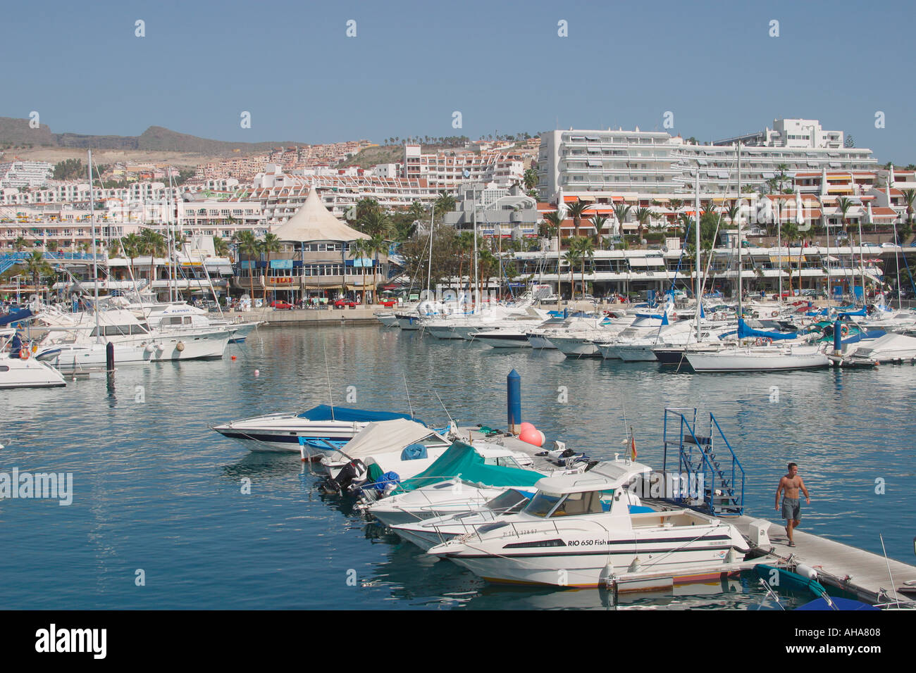 Puerto Colon Playa de las Americas Costa Adeje Tenerife Canary Islands  Spain Stock Photo - Alamy