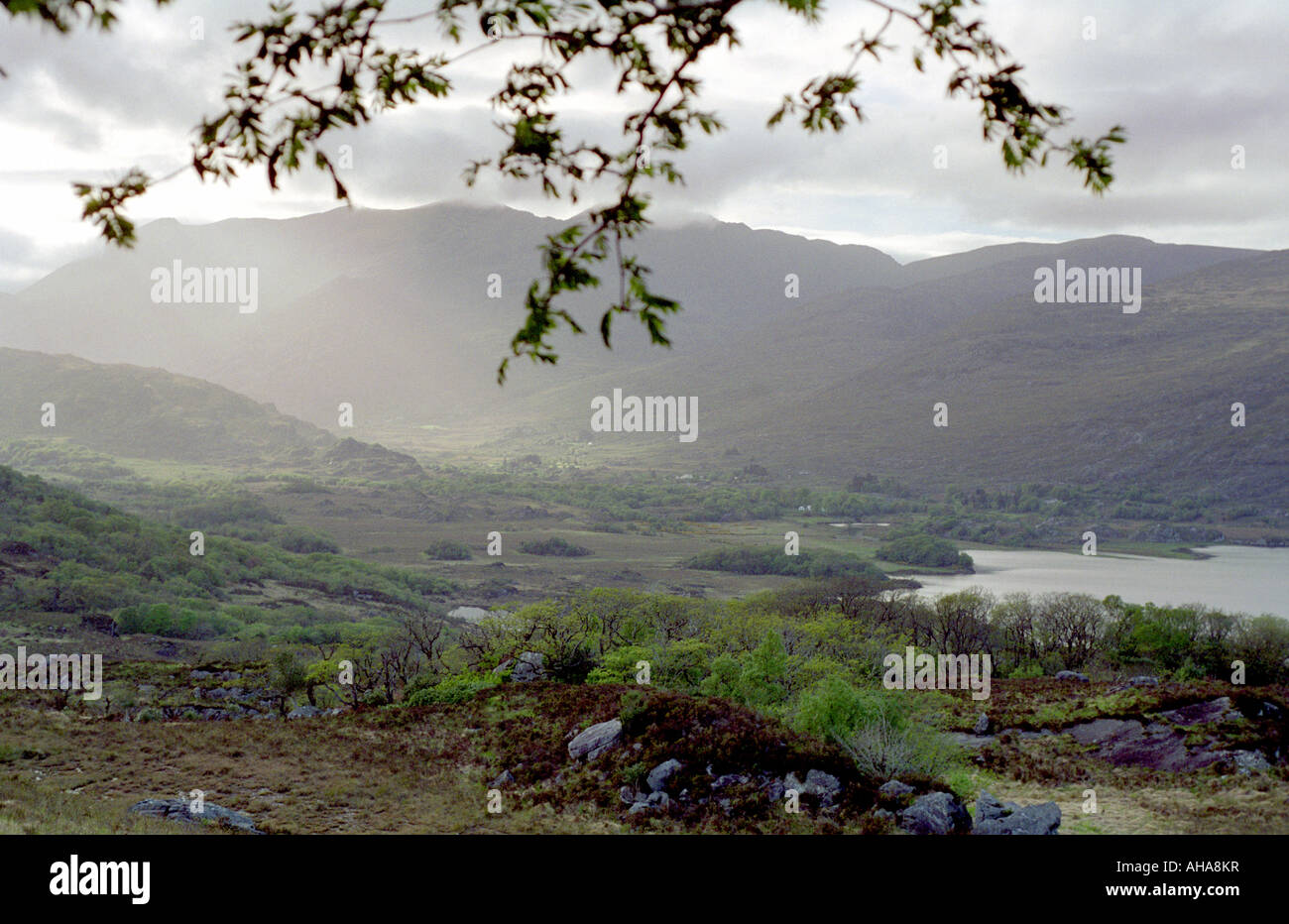Ireland County Kerry Ladies View “chosen by Queen Victorias ladies in