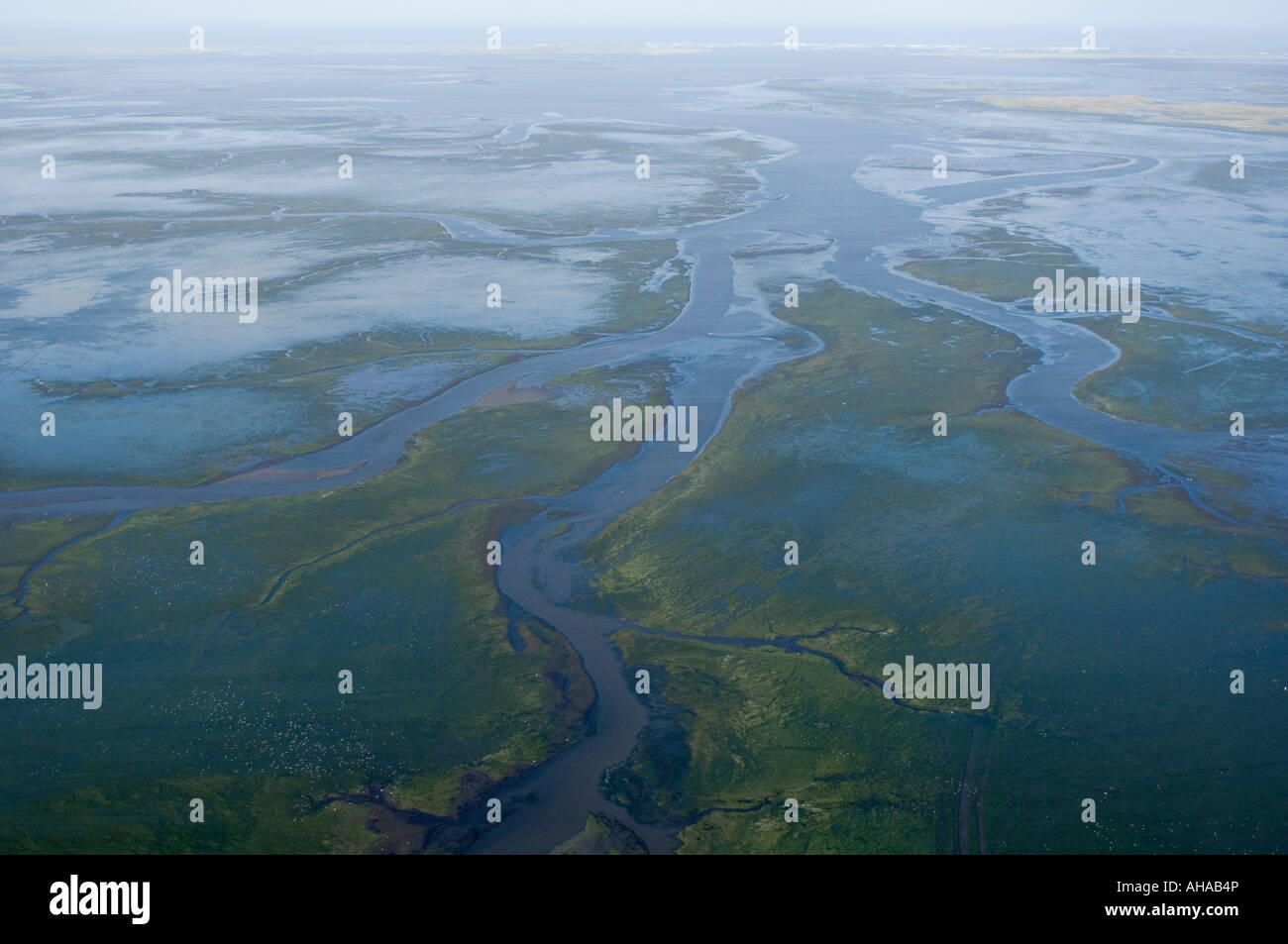 Eelgrass beds from air, Izembek Lagoon, Izembek National Wildlife Refuge, Alaska AERIAL Stock