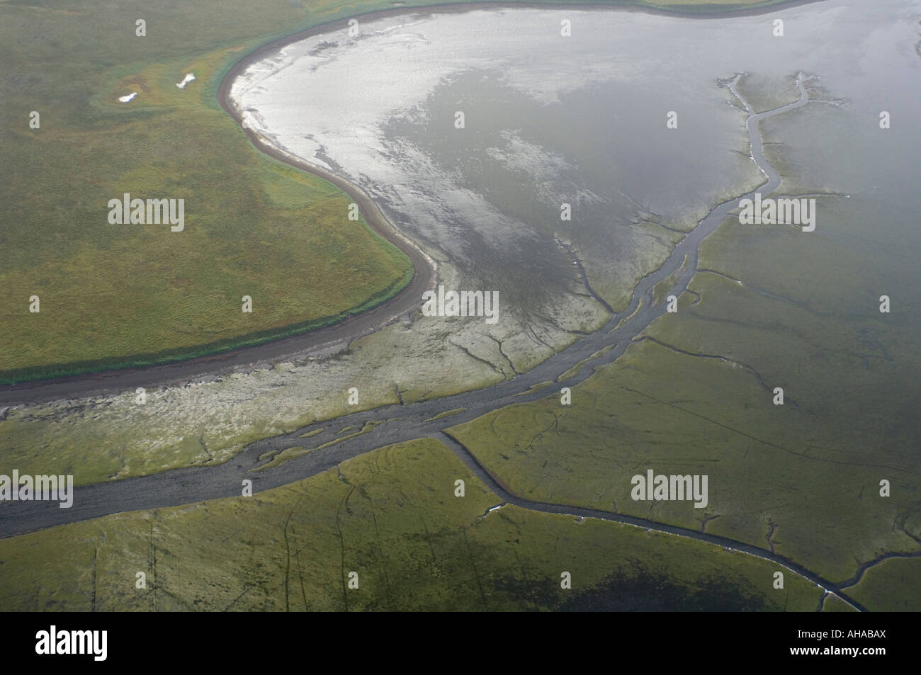Eelgrass beds from air, Izembek Lagoon, Izembek National Wildlife Refuge, Alaska AERIAL Stock
