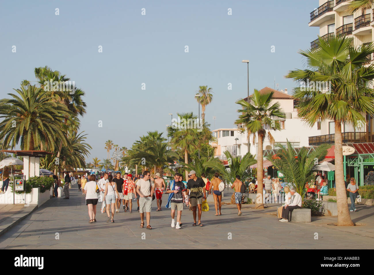 Avenida de Colon Puerto de la Cruz Tenerife Canary Islands Spain Stock  Photo - Alamy