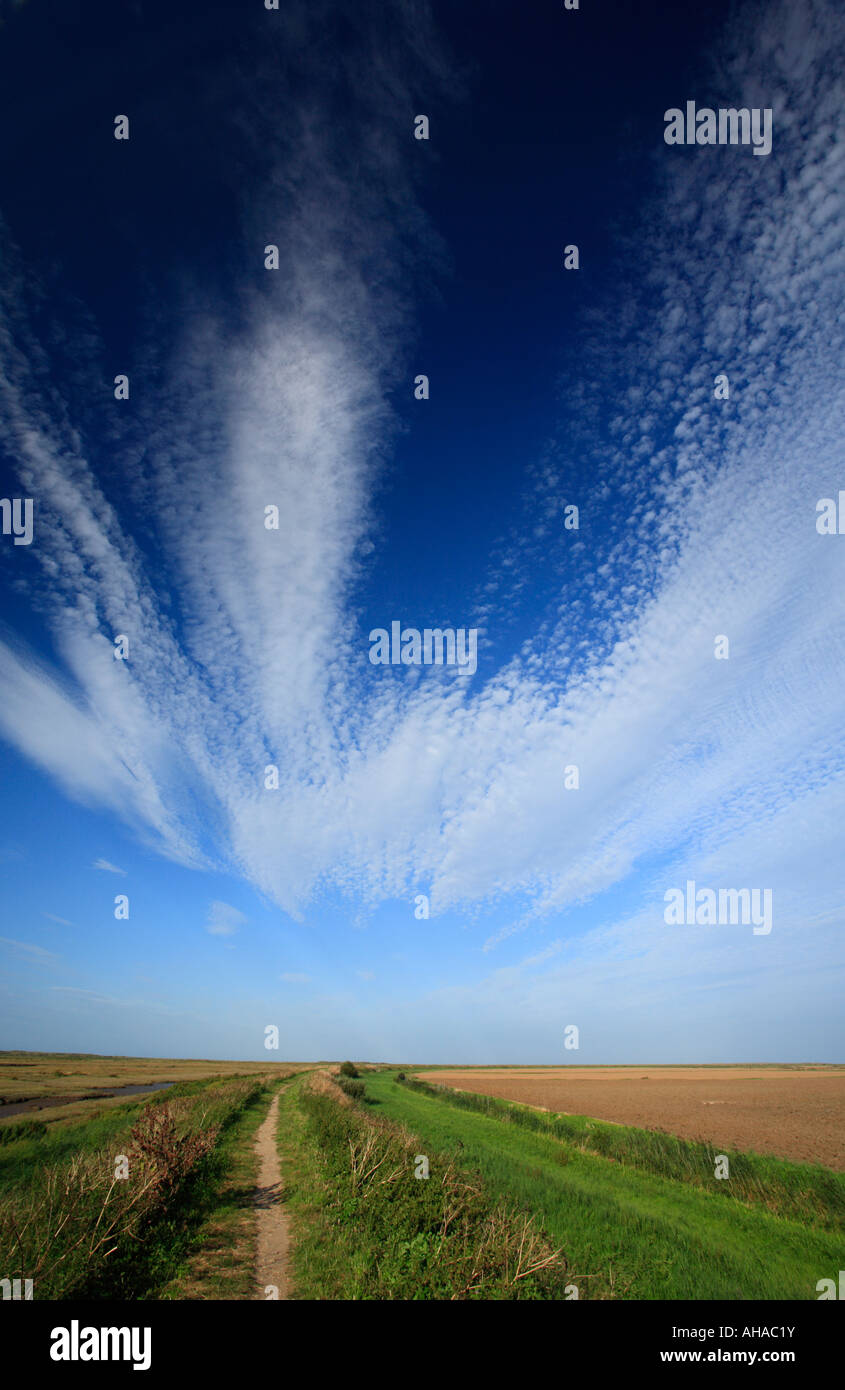A footpath leading into the distance under a blue sky with clouds Stock ...