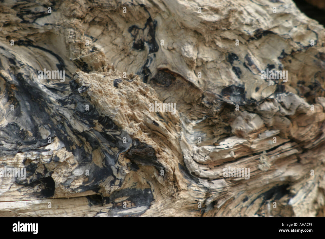 close up detail of rock Stock Photo
