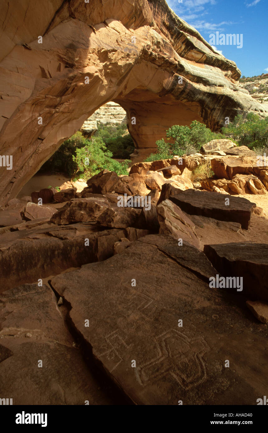 Petroglyphs Natural Bridges National Monument Utah Stock Photo