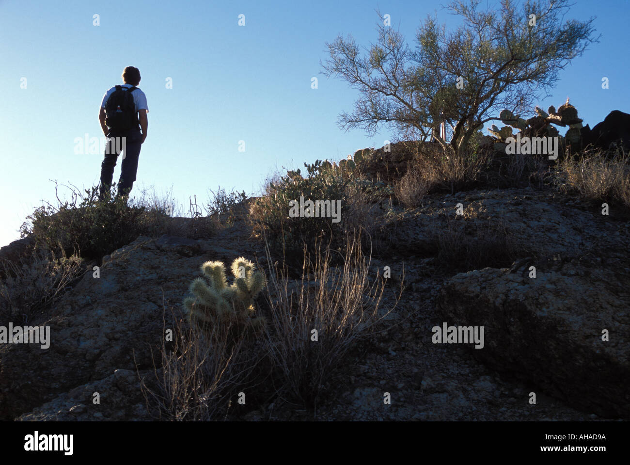 Lost hiker in the desert Stock Photo