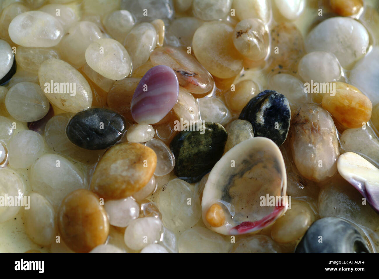 Beach Pebbles Stock Photo