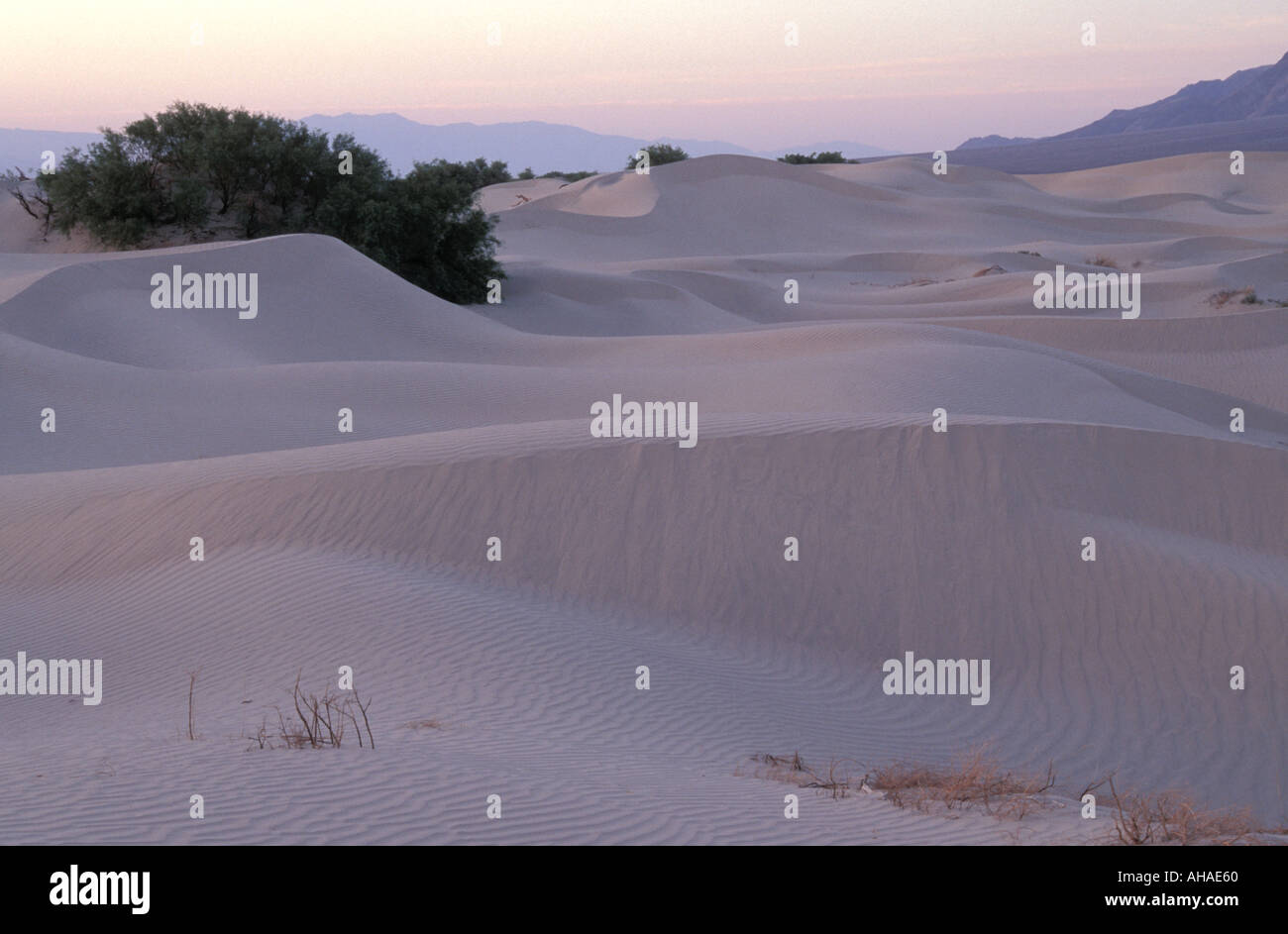 Sand Dunes Death Valley California Stock Photo