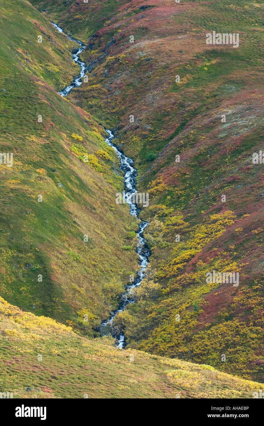 Alpine tundra below Hatcher Pass, Talkeetna Mountains, Alaska September